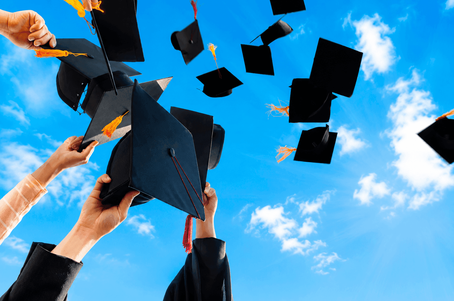 Where Ideas Enroll Before Students Do